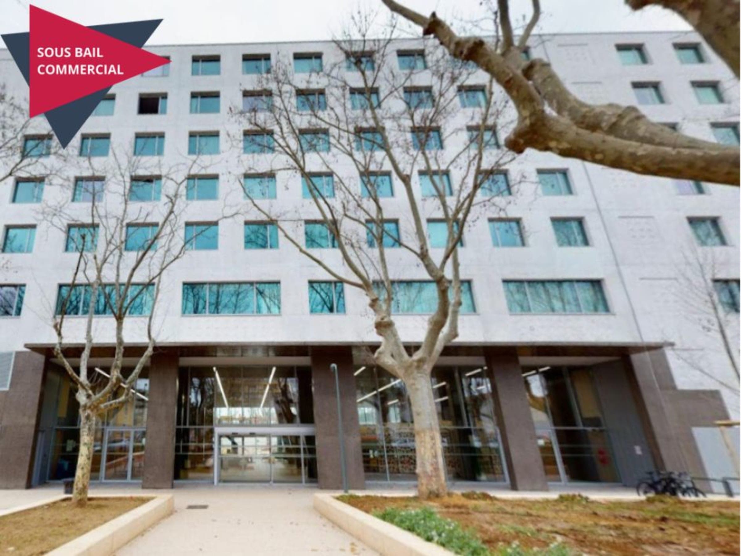 Artémisia - Montpellier - Campus Créatif — visuel 4