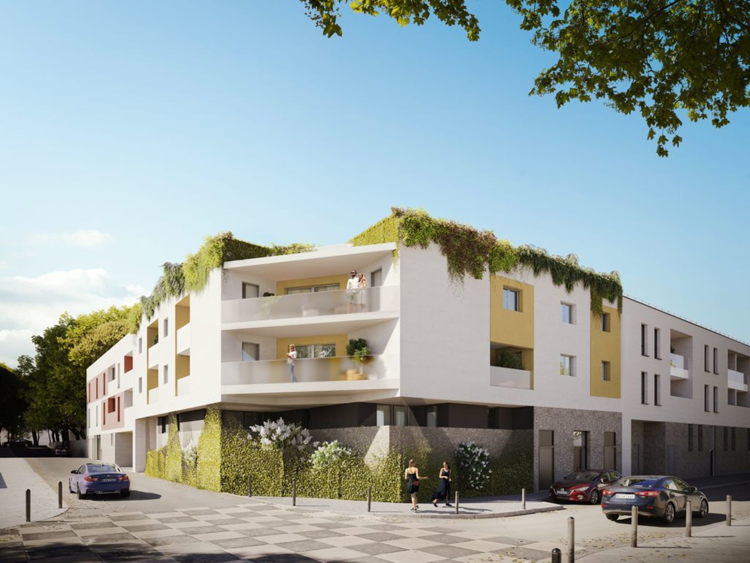 Blanc Coton - Castelnau-Le-Lez — Castelnau-le-Lez