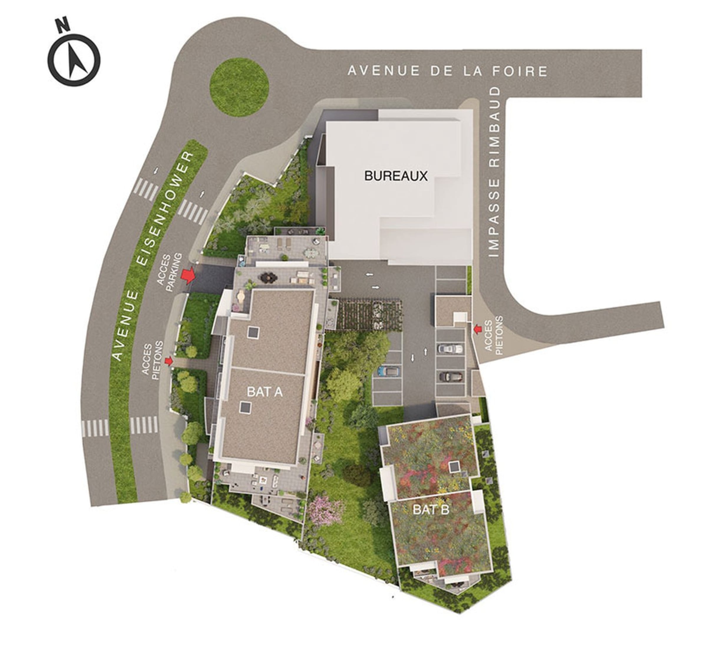 CITY LIFE — Avignon