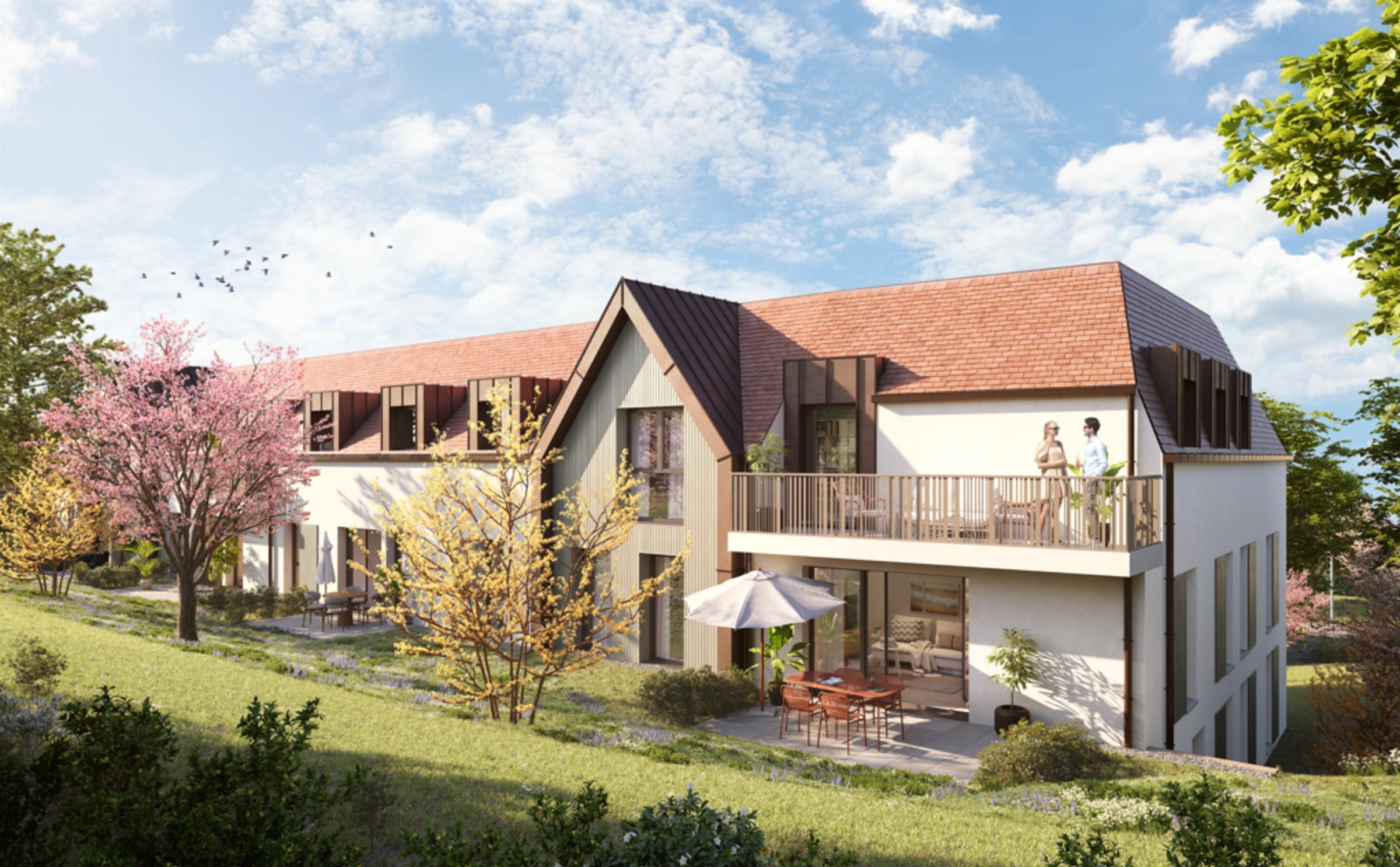 Programme L'orée des Aulnes - Vernouillet à Vernouillet