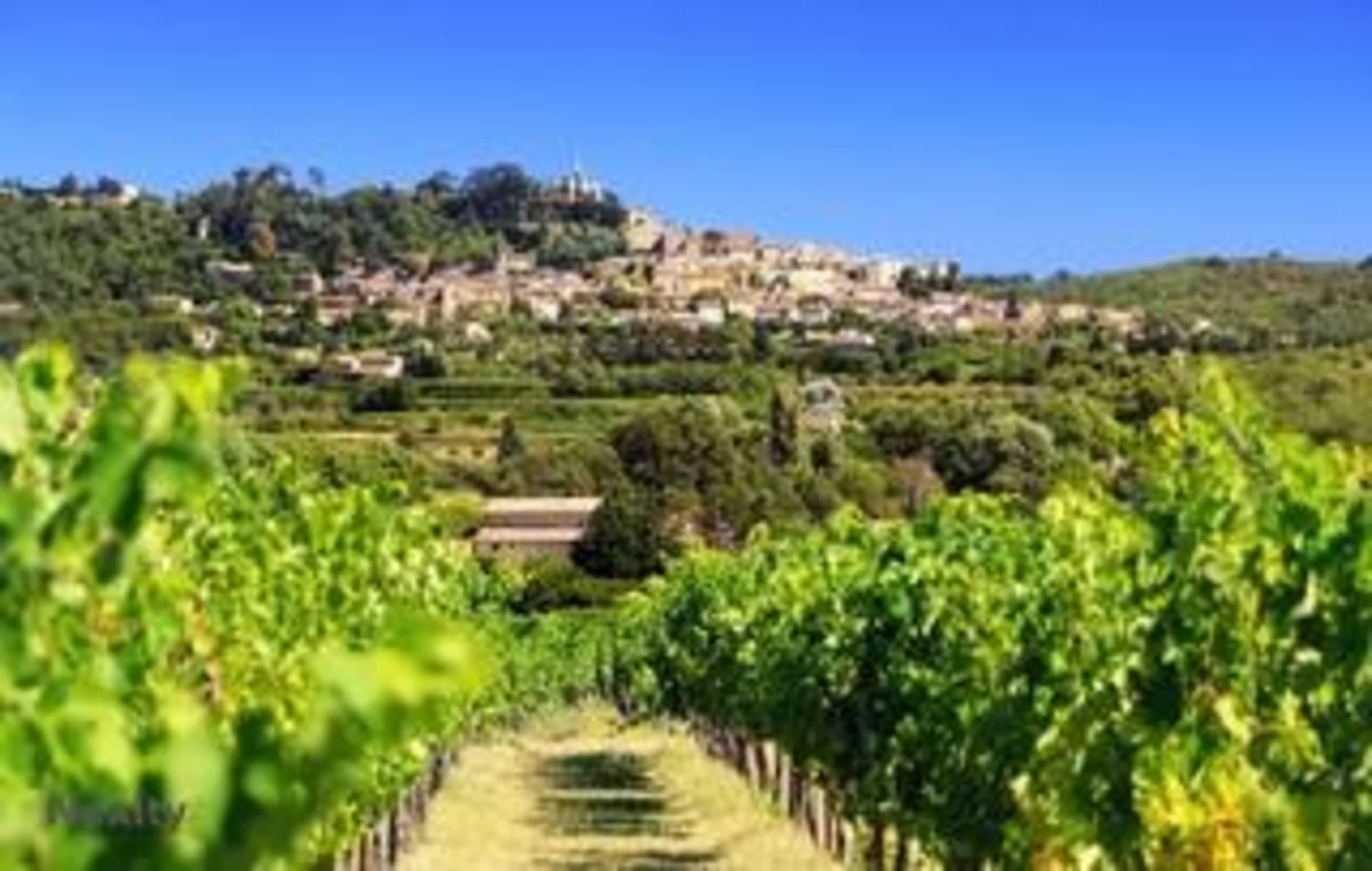 LE CABELLIO — visuel 5