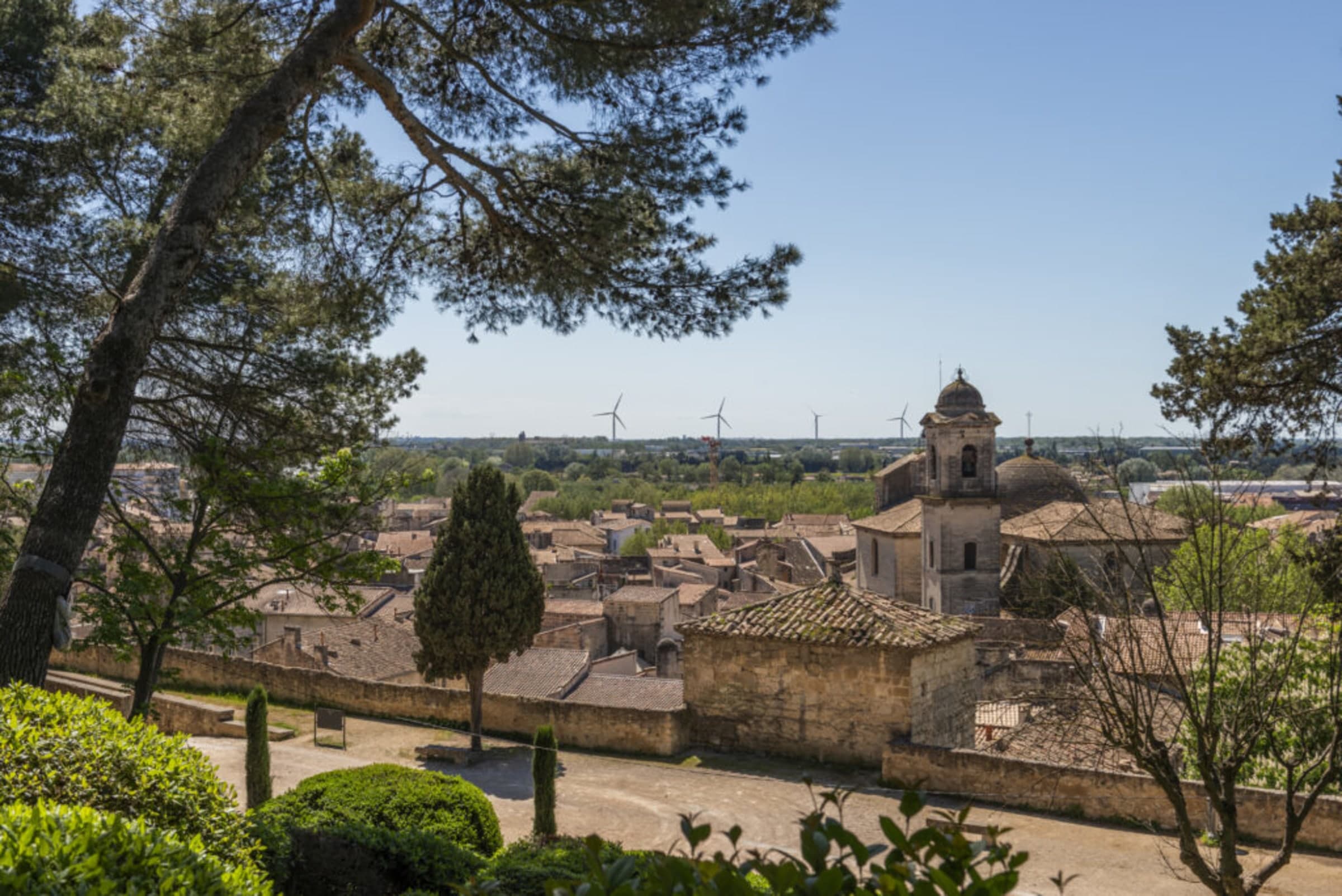 Le Patio des Berges — visuel 5