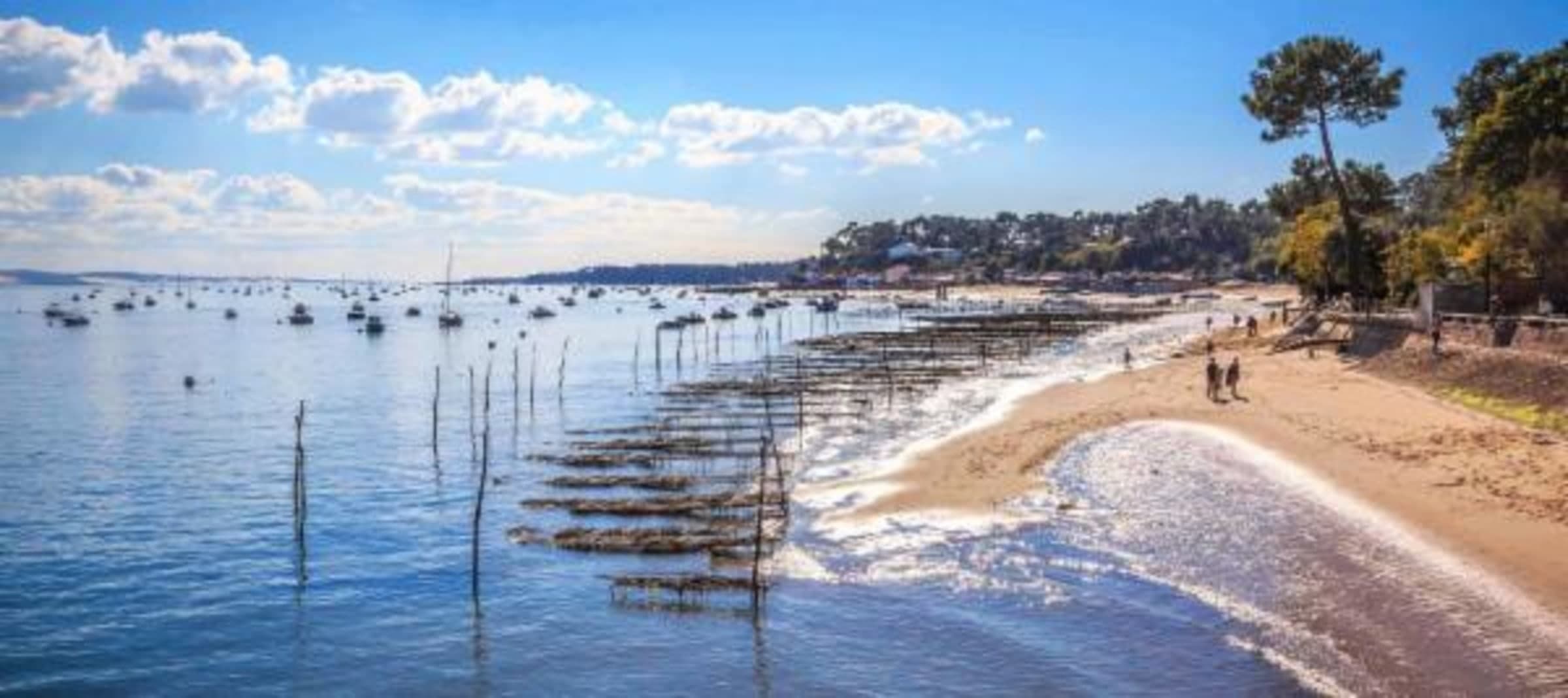 LEGE-CAP-FERRET - Presqu'île Horizon II — programme immobilier neuf à Lège-Cap-Ferret, photo 3