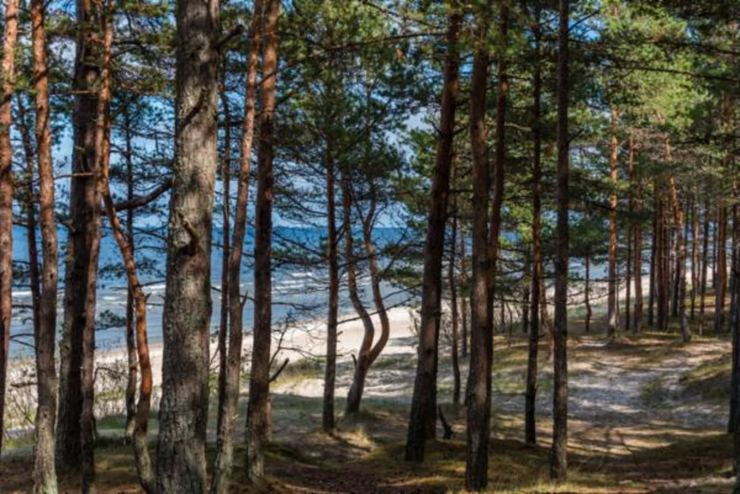 LEGE-CAP-FERRET - Presqu'île Horizon II — programme immobilier neuf à Lège-Cap-Ferret, photo 4