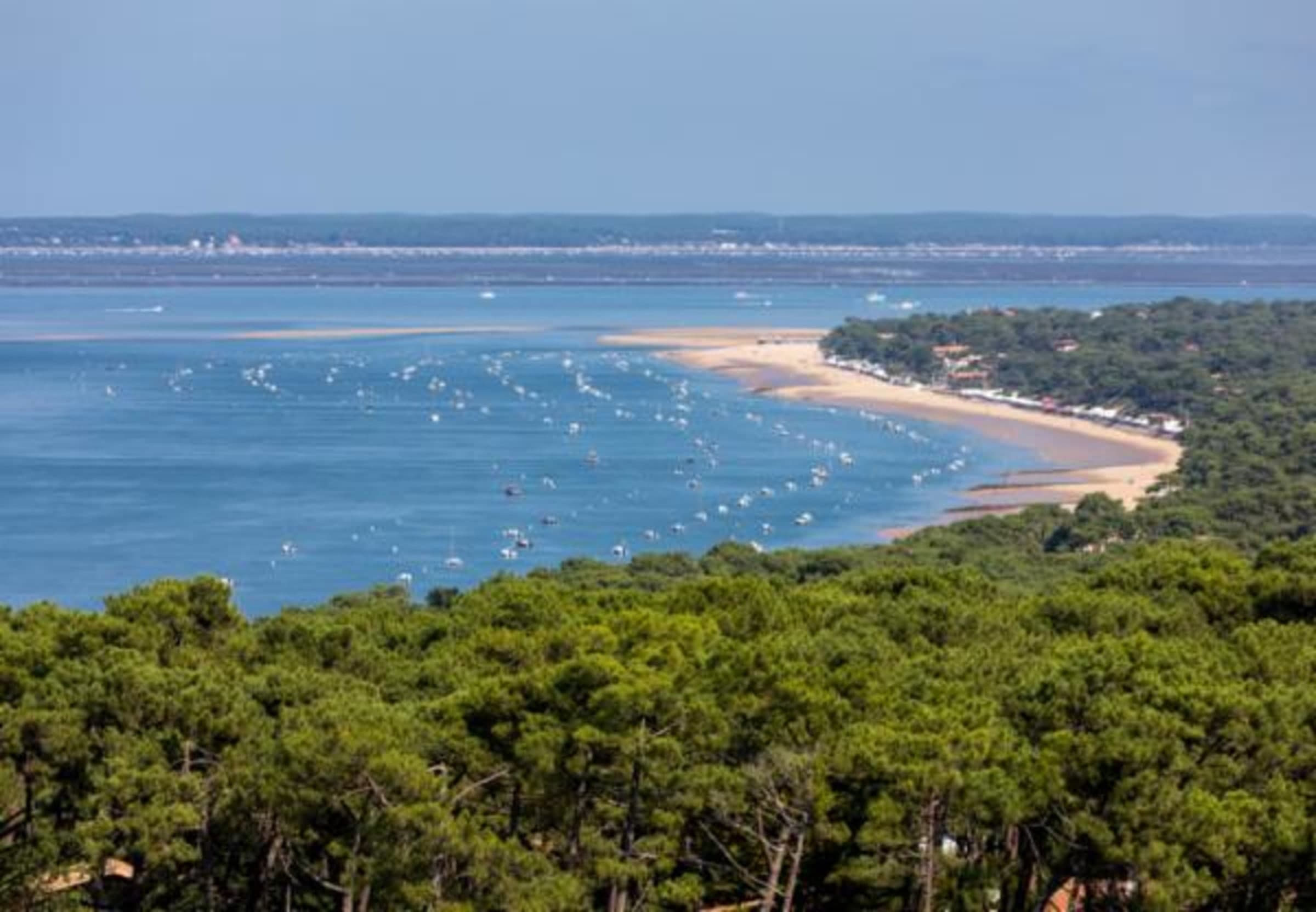 LEGE-CAP-FERRET - Presqu'île Horizon II — programme immobilier neuf à Lège-Cap-Ferret, photo 5