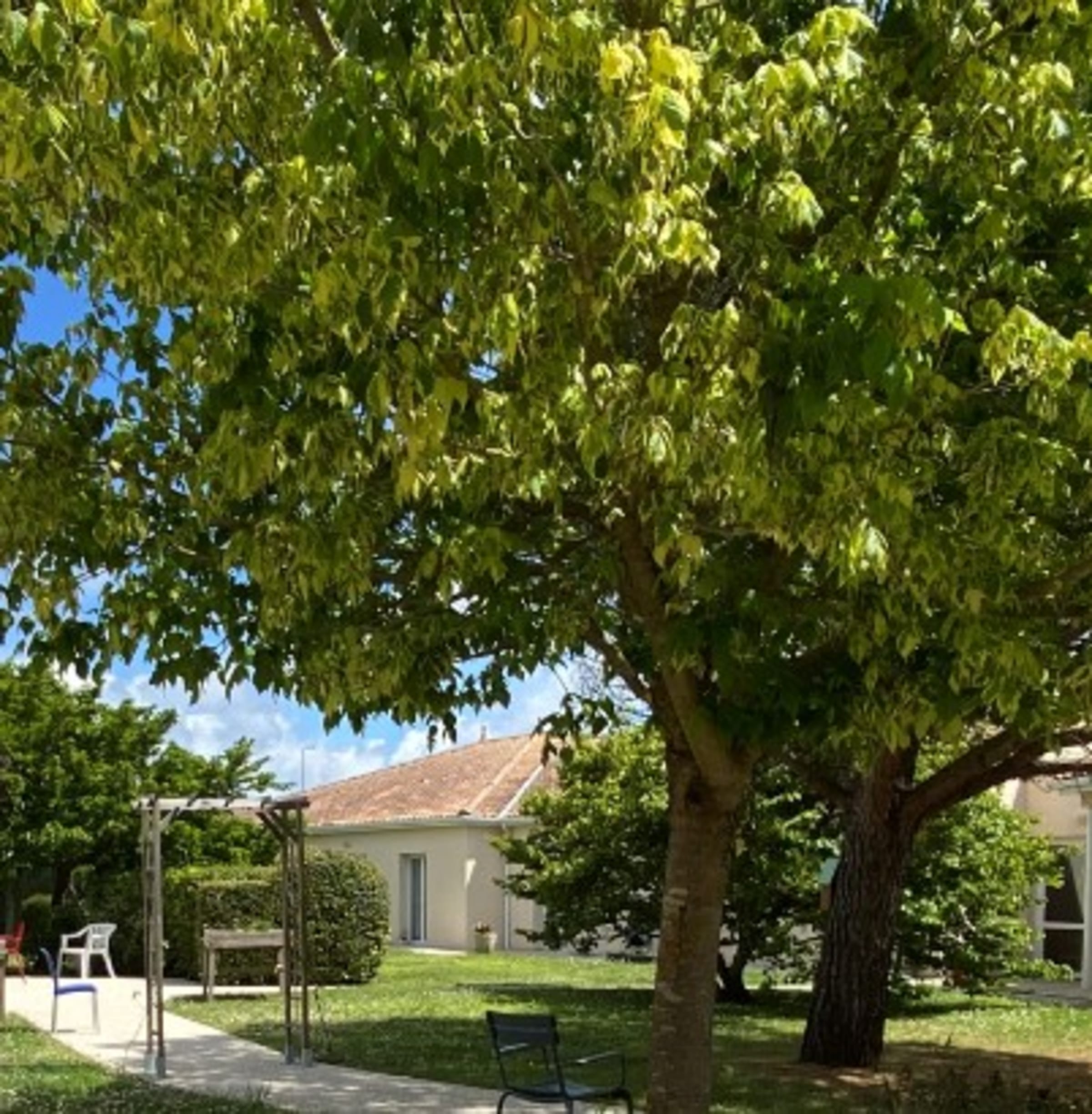 Les Aloes — Saint-Sulpice-de-Royan
