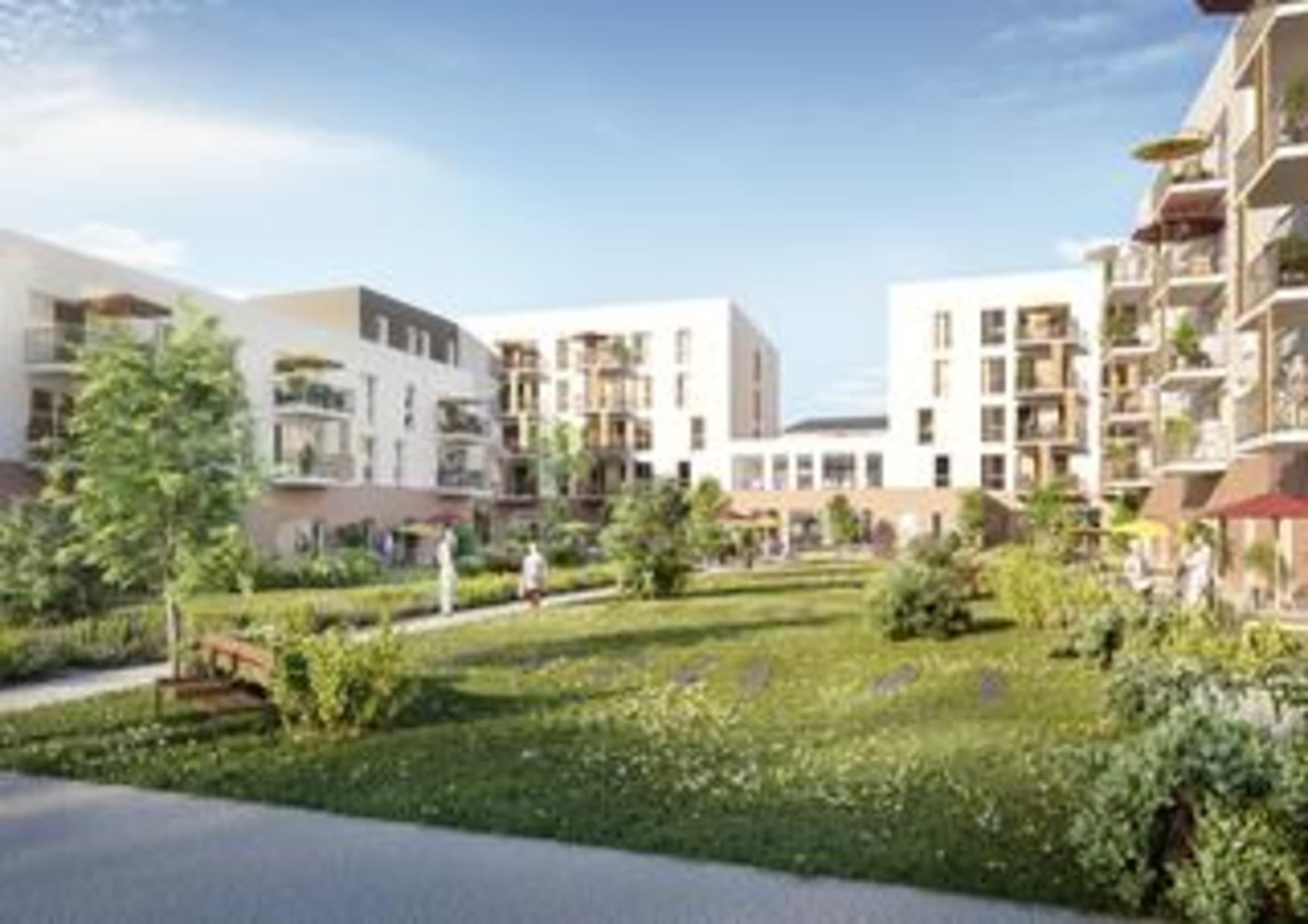 LES ROSACES — visuel 2