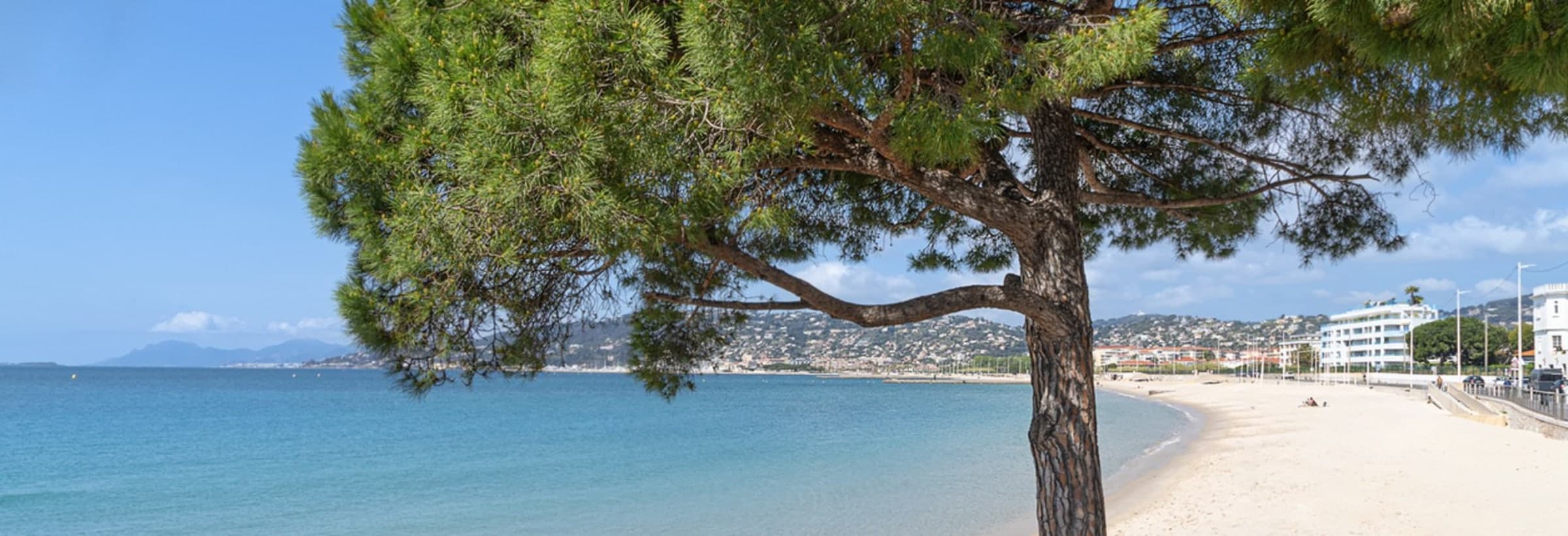 les terrasses d'eden — visuel 1