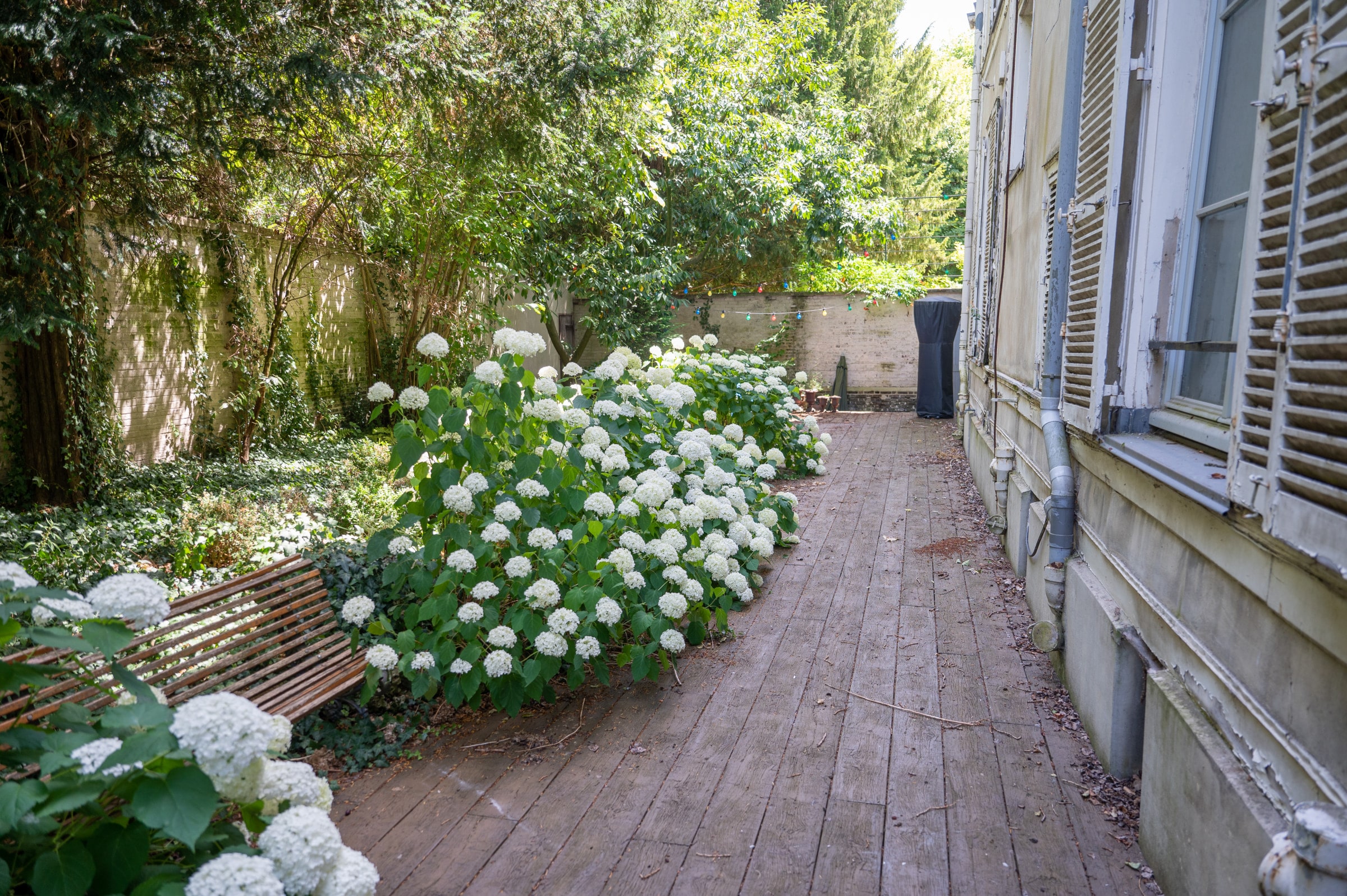 MARQUISE - TROYES — Troyes