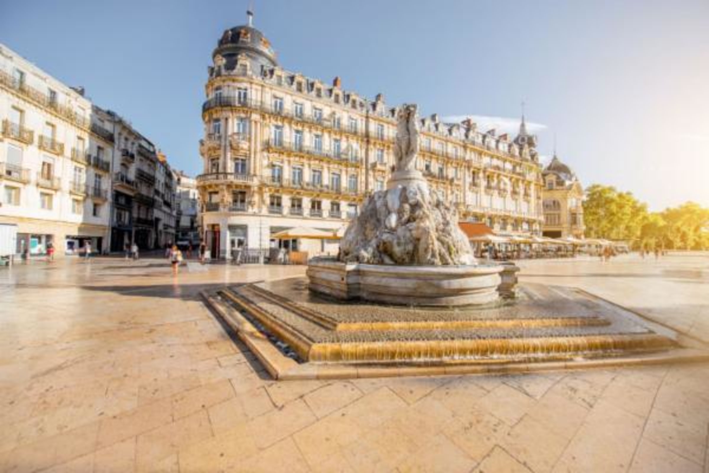MONTPELLIER - Chauvet — Montpellier