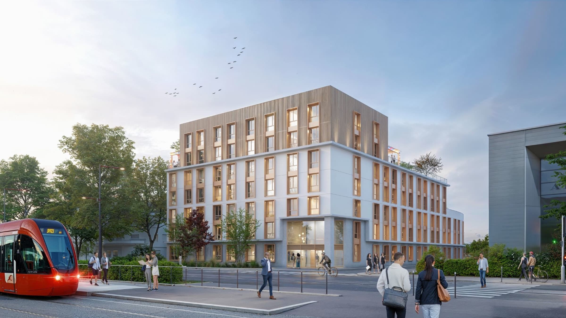 Néméa Le Mans Université — visuel 4