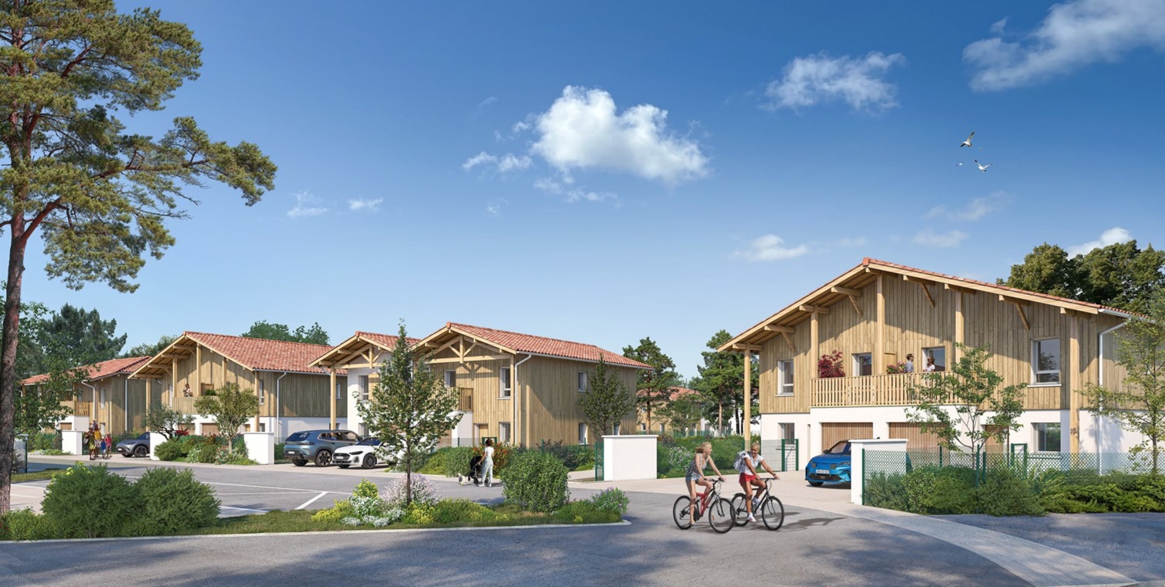 TERRE DES LANDES — Seignosse