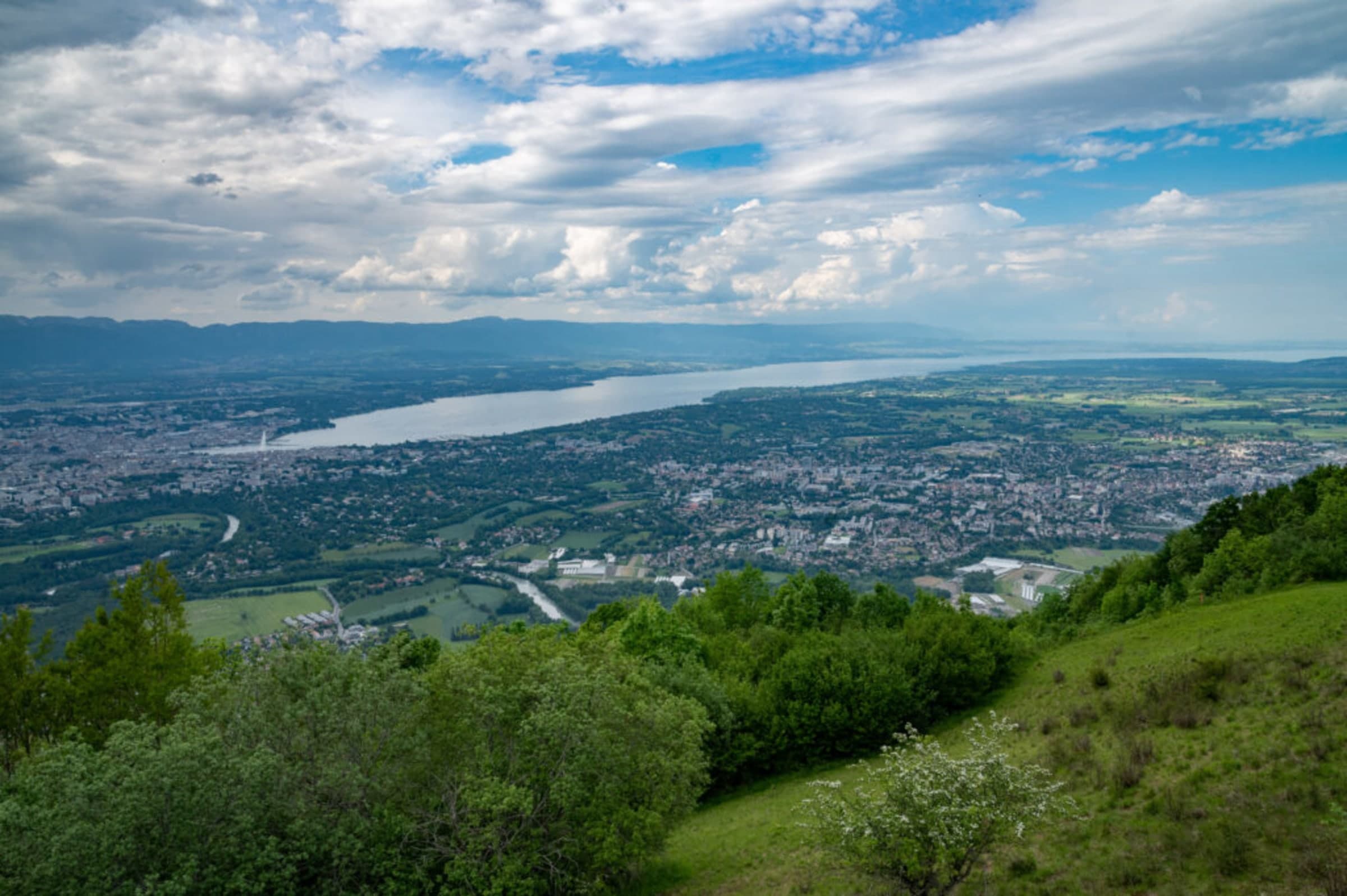 Vice Versa — visuel 5